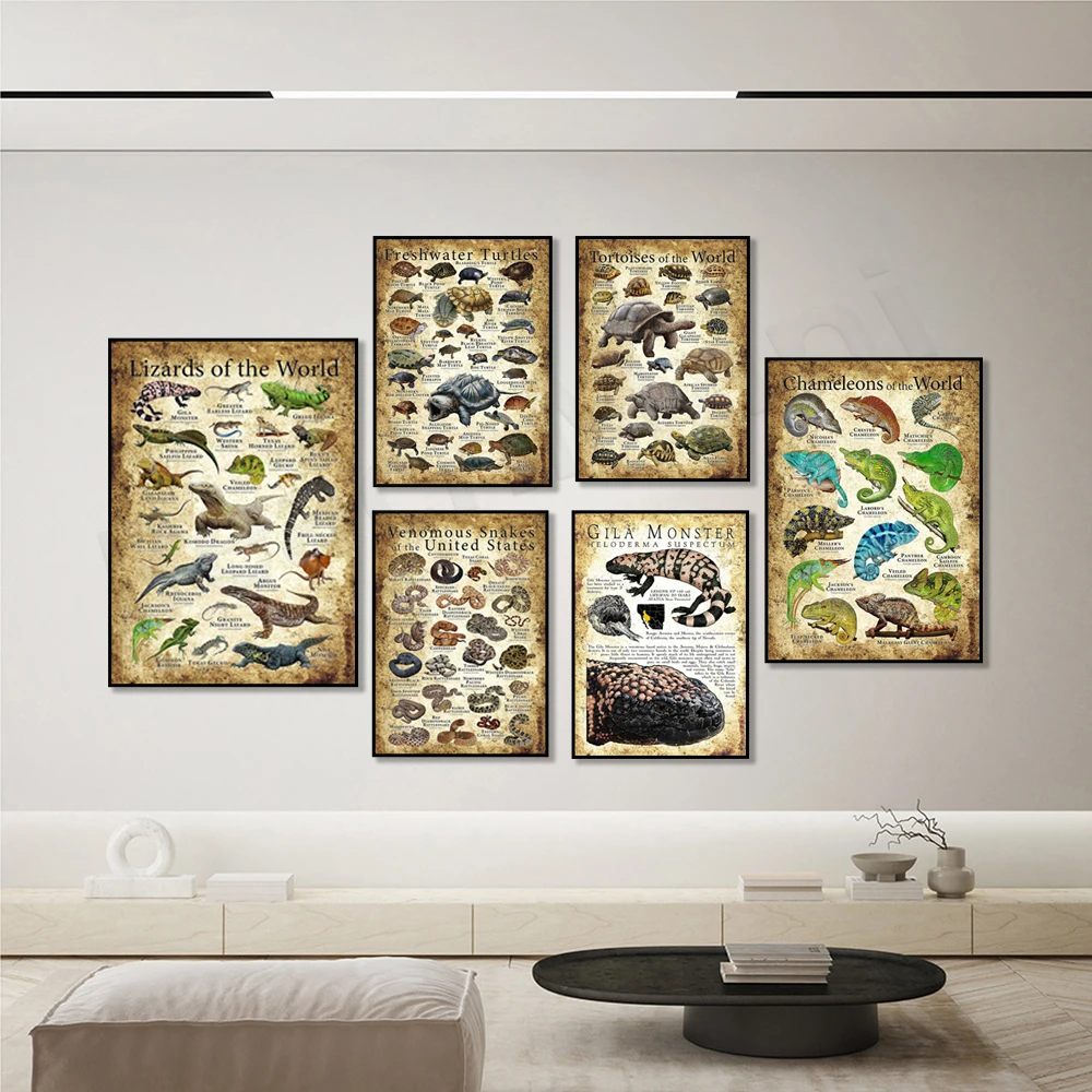 Badminton Poster - Reptiel Amfibie Educatieve Poster Set Wildlife