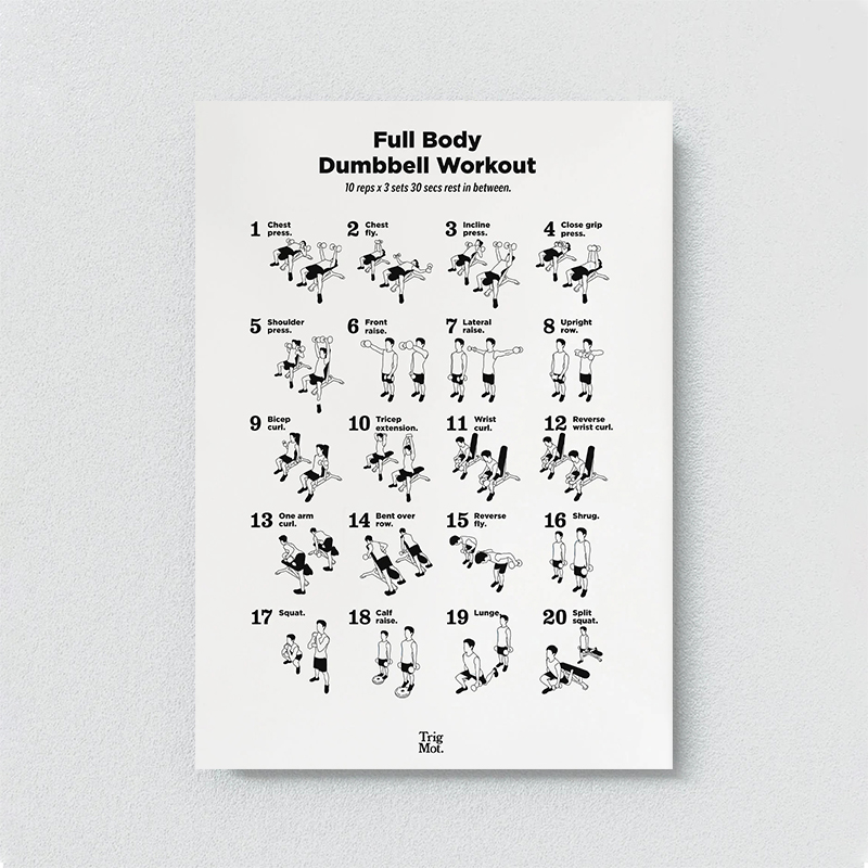 Dumbbell Gym Grafiek Poster Pr - Badminton Poster recensie en prijs